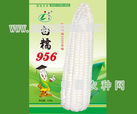 白糯956